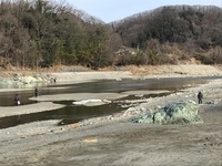 秩父フライフィールド 釣果