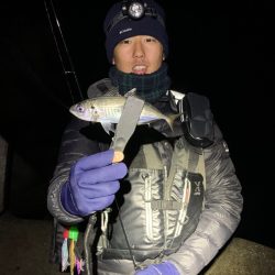 これからも使い続けたい宵姫シリーズ【がまかつ LUXXE宵姫　インプレッション】