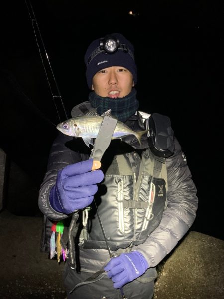 これからも使い続けたい宵姫シリーズ【がまかつ LUXXE宵姫　インプレッション】