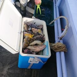 小樽港遊漁船SHAKE 釣果