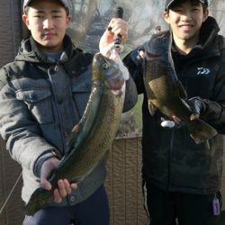 としまえんフィッシングエリア 釣果