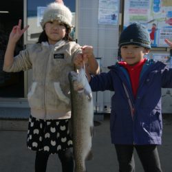 としまえんフィッシングエリア 釣果