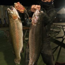 としまえんフィッシングエリア 釣果