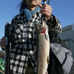 としまえんフィッシングエリア 釣果