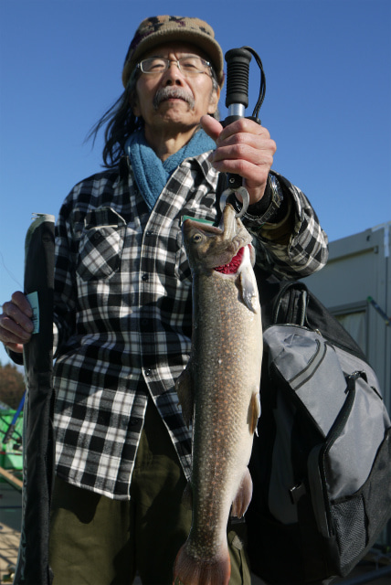 としまえんフィッシングエリア 釣果