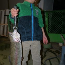 としまえんフィッシングエリア 釣果