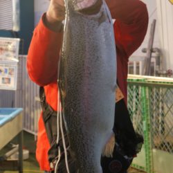 としまえんフィッシングエリア 釣果