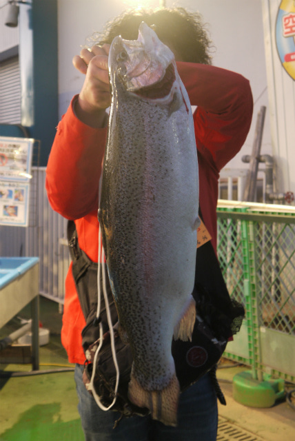 としまえんフィッシングエリア 釣果