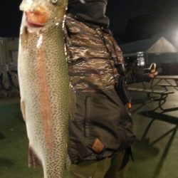 としまえんフィッシングエリア 釣果