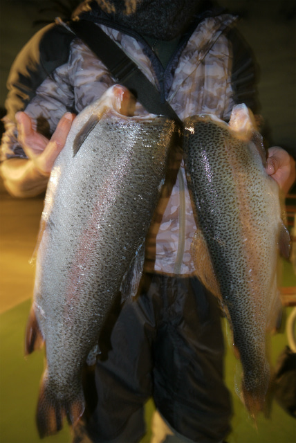としまえんフィッシングエリア 釣果