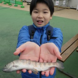 としまえんフィッシングエリア 釣果