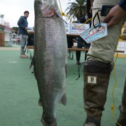 としまえんフィッシングエリア 釣果