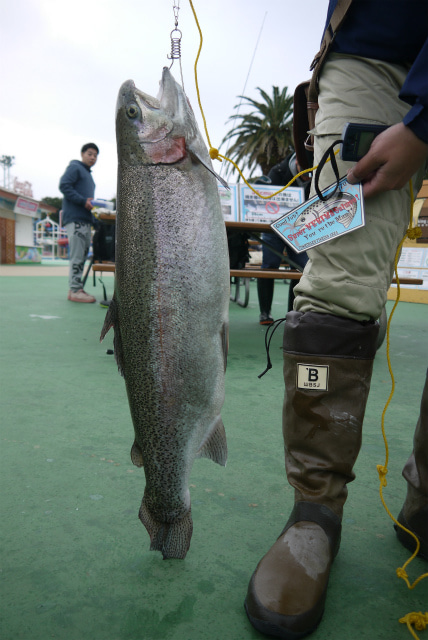 としまえんフィッシングエリア 釣果