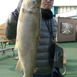 としまえんフィッシングエリア 釣果