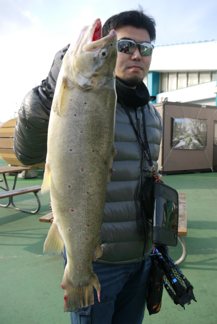 としまえんフィッシングエリア 釣果