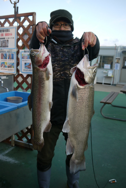 としまえんフィッシングエリア 釣果