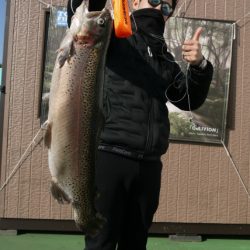 としまえんフィッシングエリア 釣果