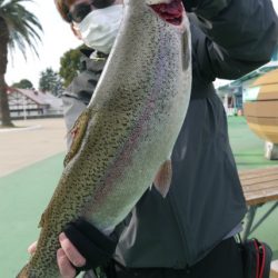 としまえんフィッシングエリア 釣果