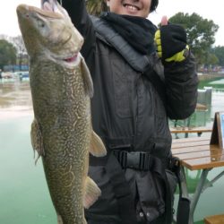 としまえんフィッシングエリア 釣果