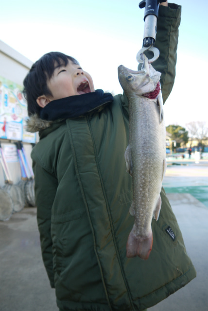 としまえんフィッシングエリア 釣果