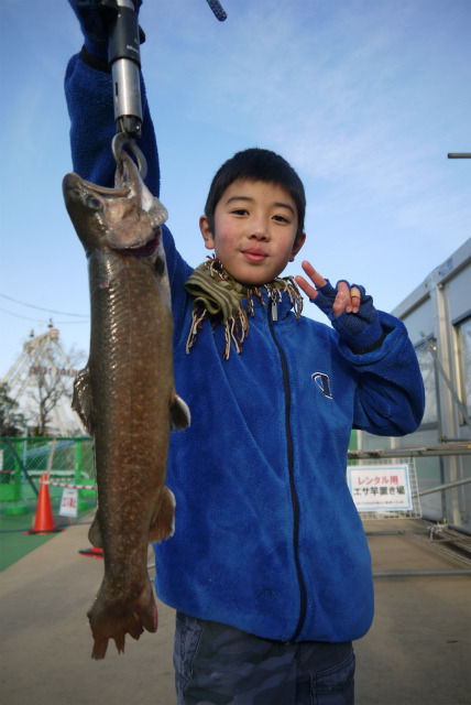 としまえんフィッシングエリア 釣果