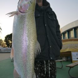 としまえんフィッシングエリア 釣果