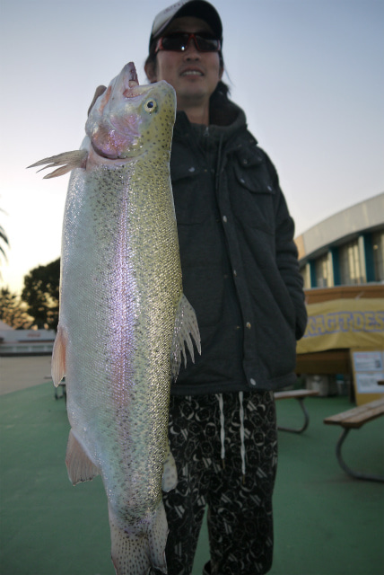 としまえんフィッシングエリア 釣果