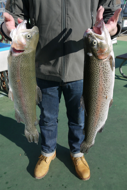 としまえんフィッシングエリア 釣果