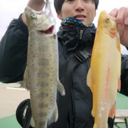 としまえんフィッシングエリア 釣果