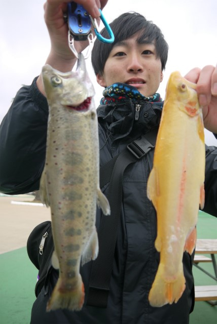としまえんフィッシングエリア 釣果