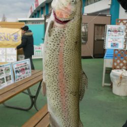 としまえんフィッシングエリア 釣果