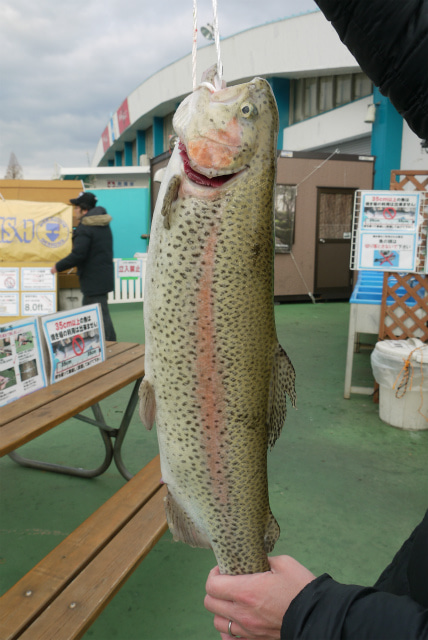 としまえんフィッシングエリア 釣果