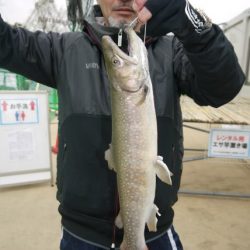 としまえんフィッシングエリア 釣果