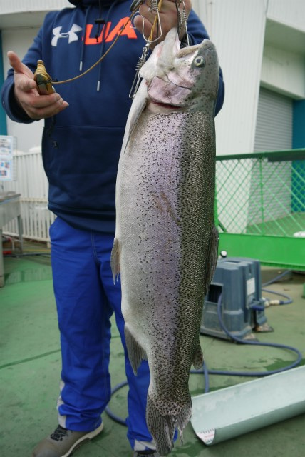 としまえんフィッシングエリア 釣果