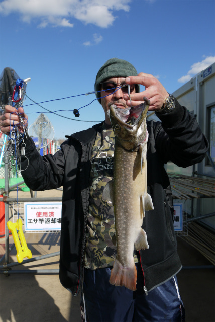 としまえんフィッシングエリア 釣果