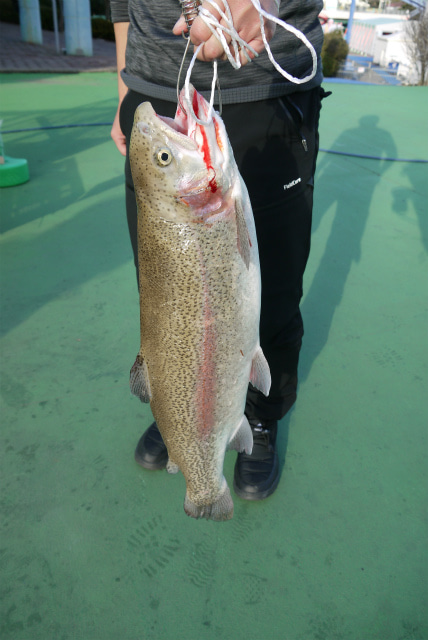 としまえんフィッシングエリア 釣果