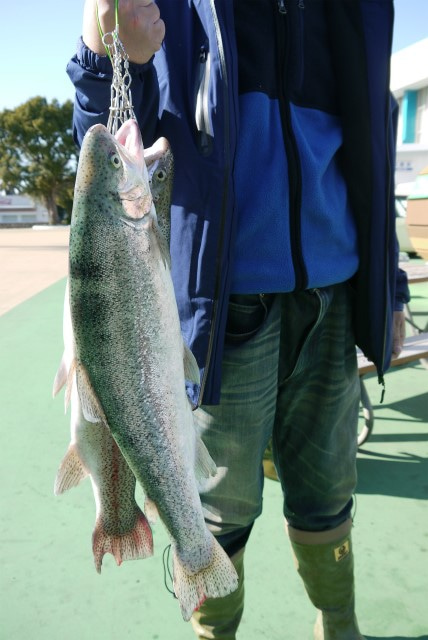 としまえんフィッシングエリア 釣果