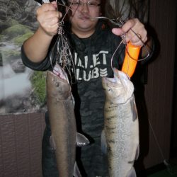 としまえんフィッシングエリア 釣果