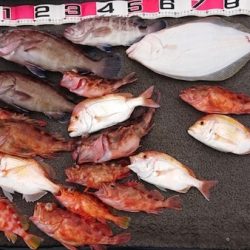 清和丸 釣果