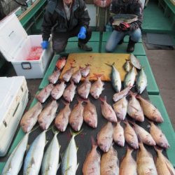 真祐丸 (しんゆうまる) 釣果