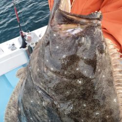 海晴丸 釣果