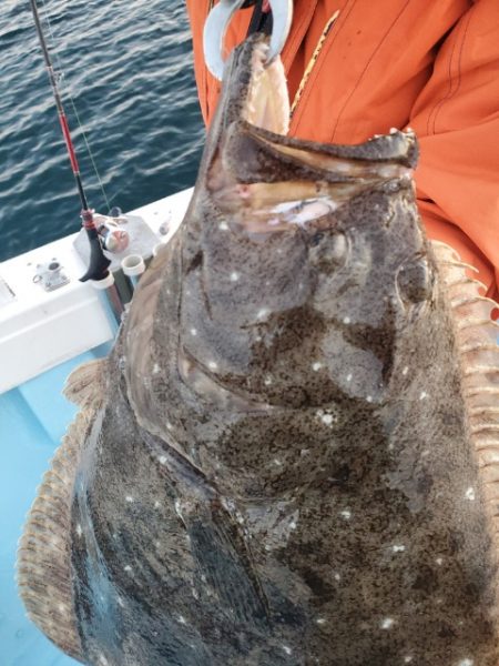 海晴丸 釣果