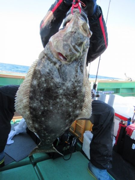 真祐丸 (しんゆうまる) 釣果