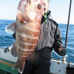 真祐丸 (しんゆうまる) 釣果