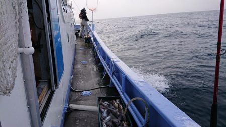 小樽港遊漁船ＳＨＡＫＥ 釣果