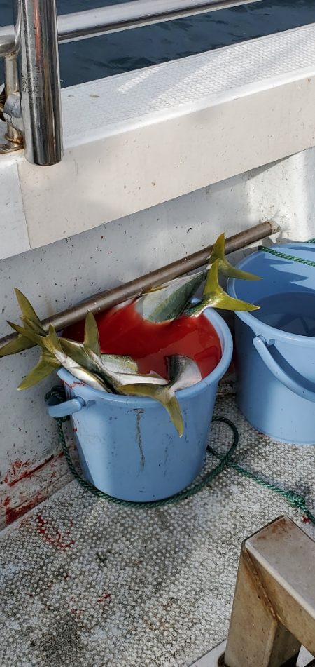 LUSTER『ラスター』 釣果