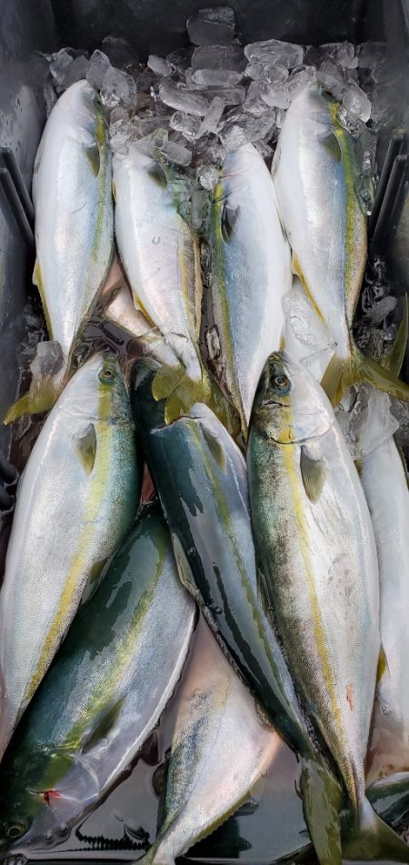 LUSTER『ラスター』 釣果