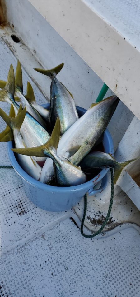 LUSTER『ラスター』 釣果