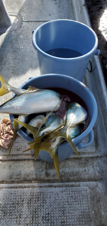 LUSTER『ラスター』 釣果