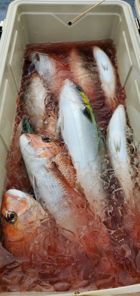 LUSTER『ラスター』 釣果